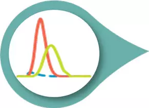 chromatography-in-house-process-simulation